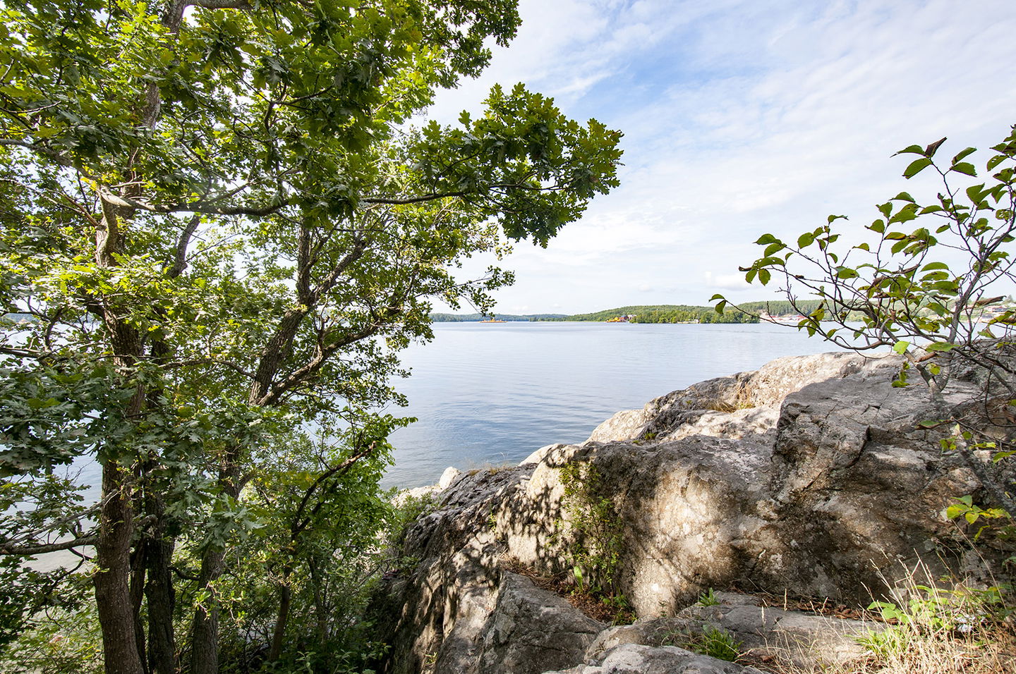 Utsikt över Mälaren med träd och klippor på sidorna.