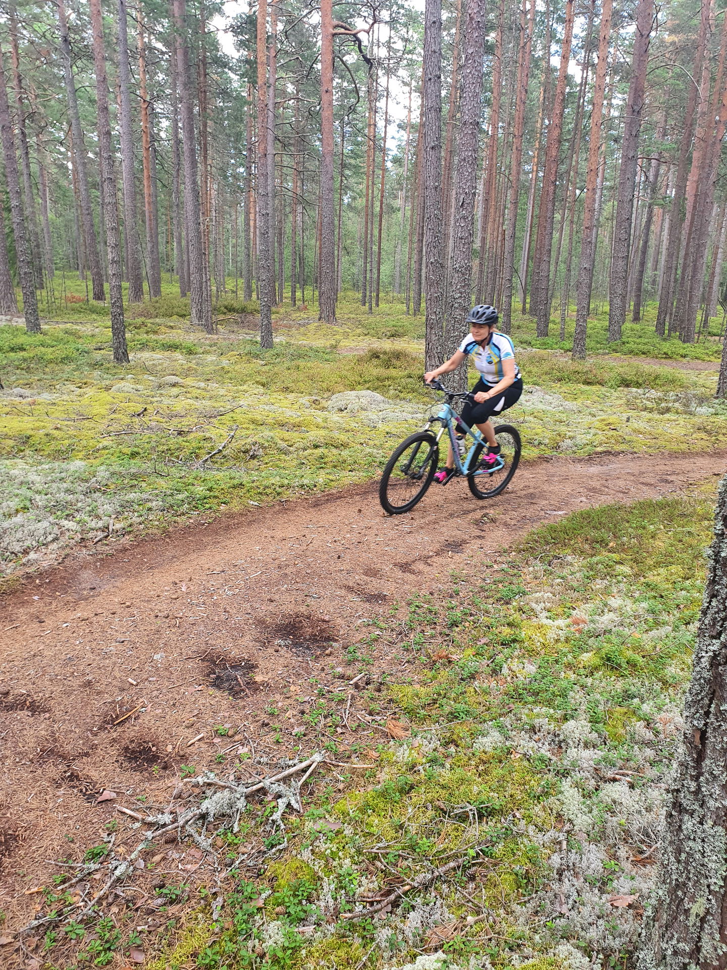 MTB-cykling i skogen