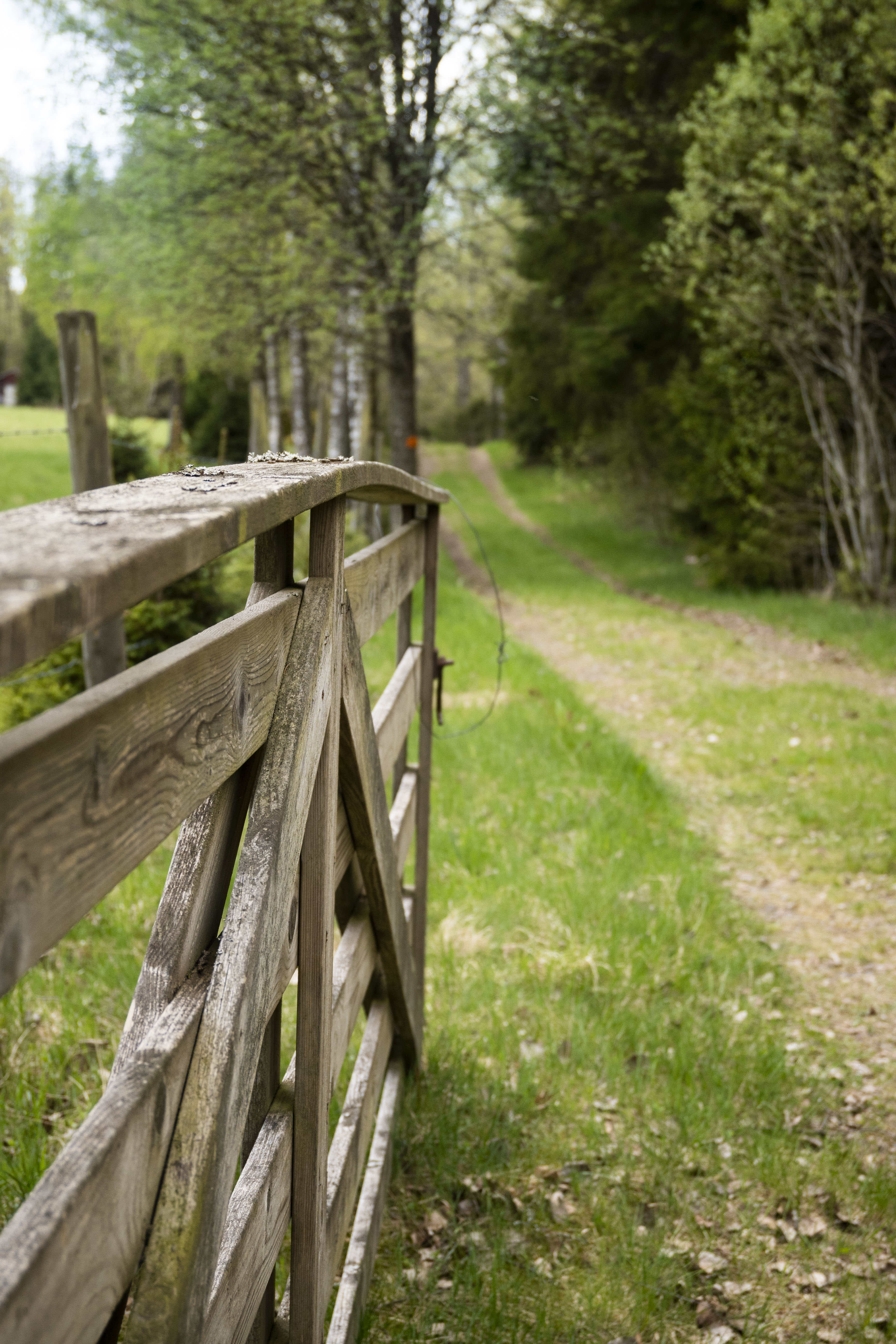 Höglandsleden etapp HÖ13 Sävsjö - Forsa - En del av Smålandsleden