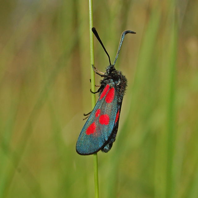 Fotograf: Tobias Ivarsson