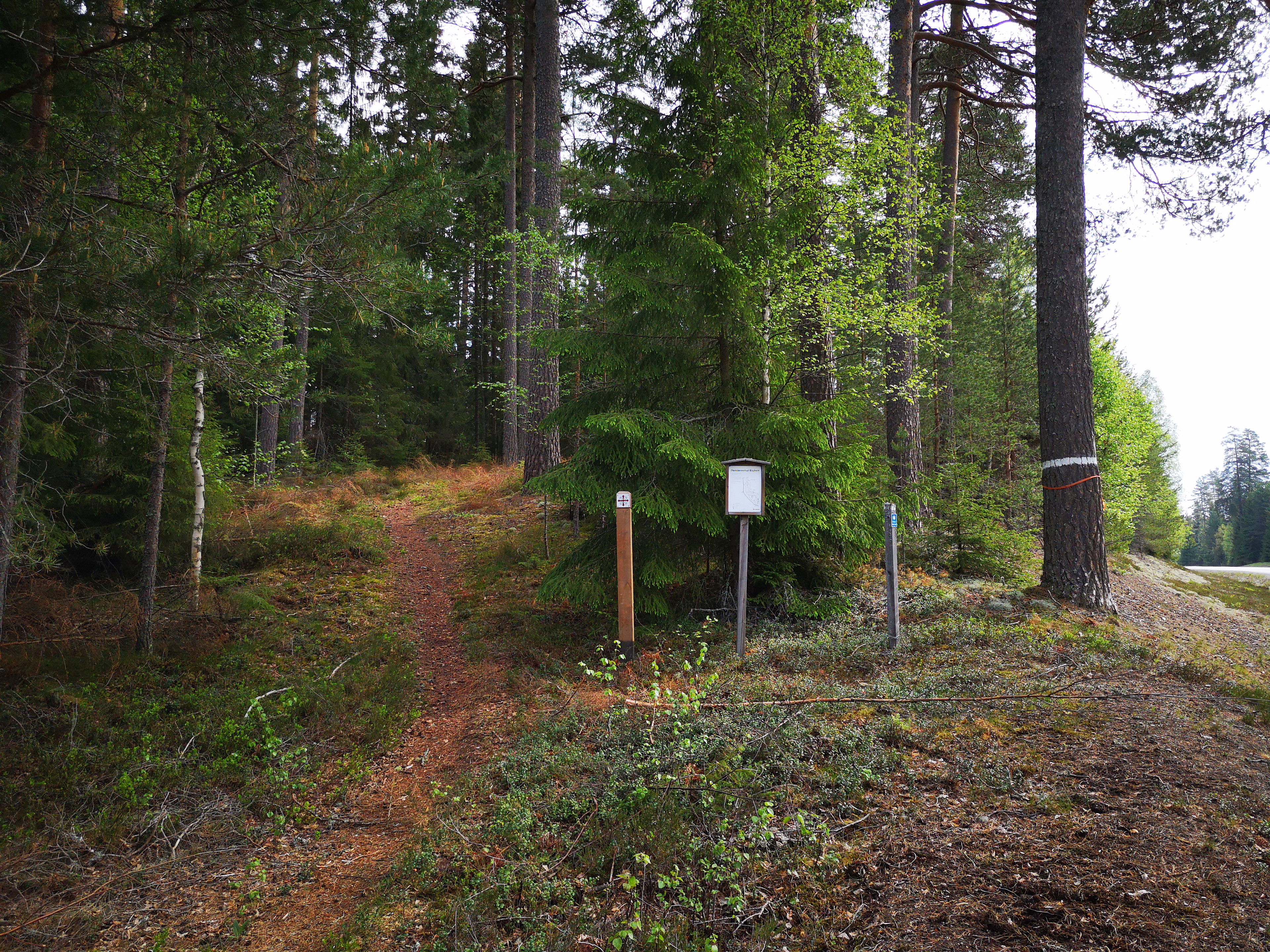 Rågåsen