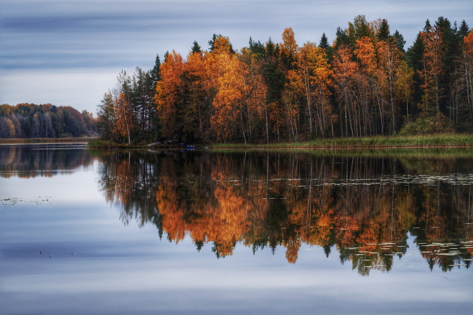 Sjön Långforsen i Sala