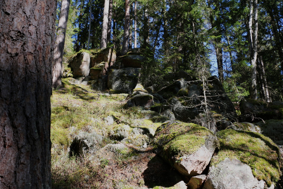 Mossbeklätt berg.
