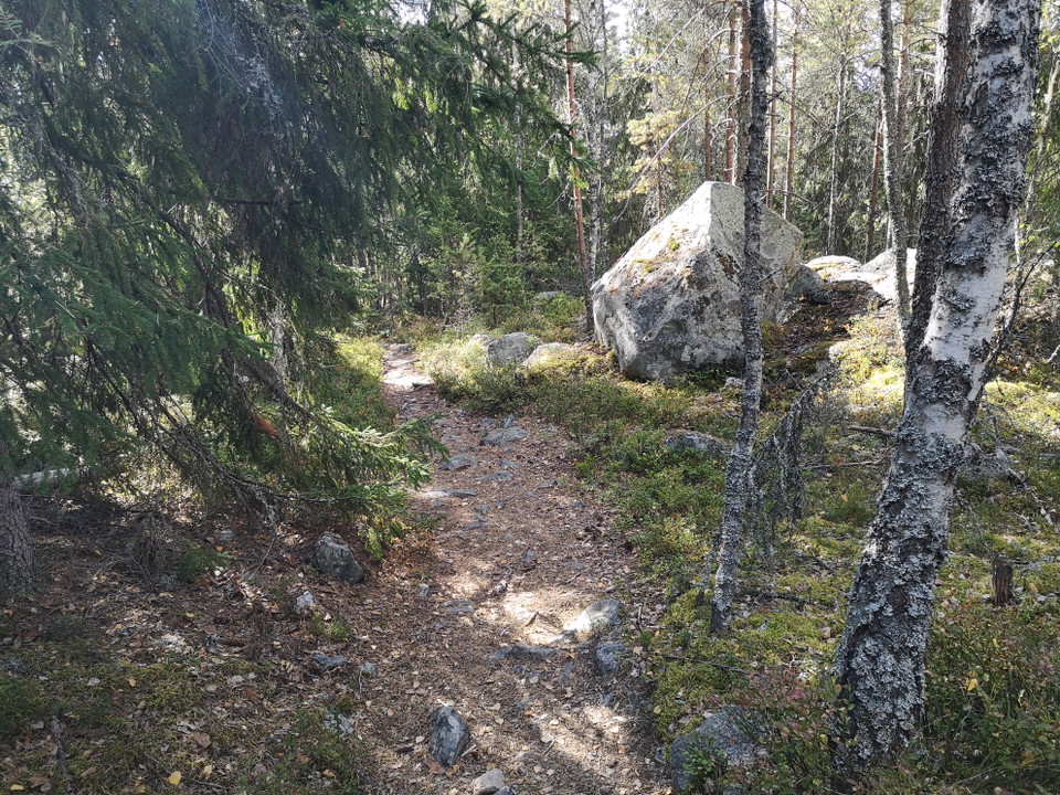 Längs med leden