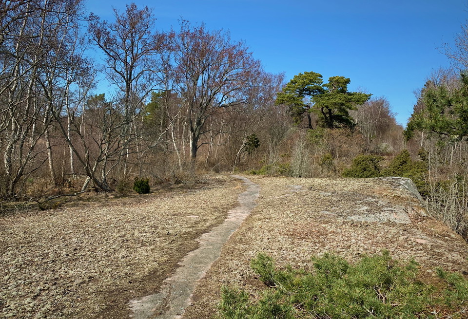 Inbjudande vandring längs Öjaleden.