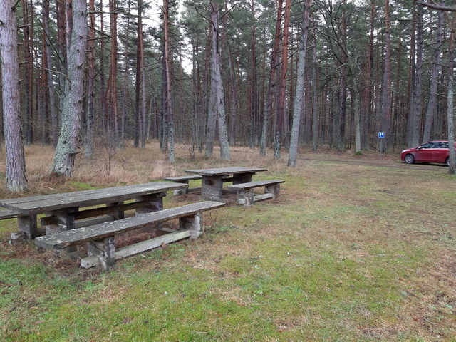 Bord, Lindreservatet