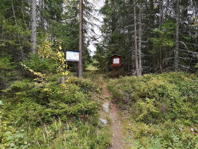 Gravbergsdalen naturreservat