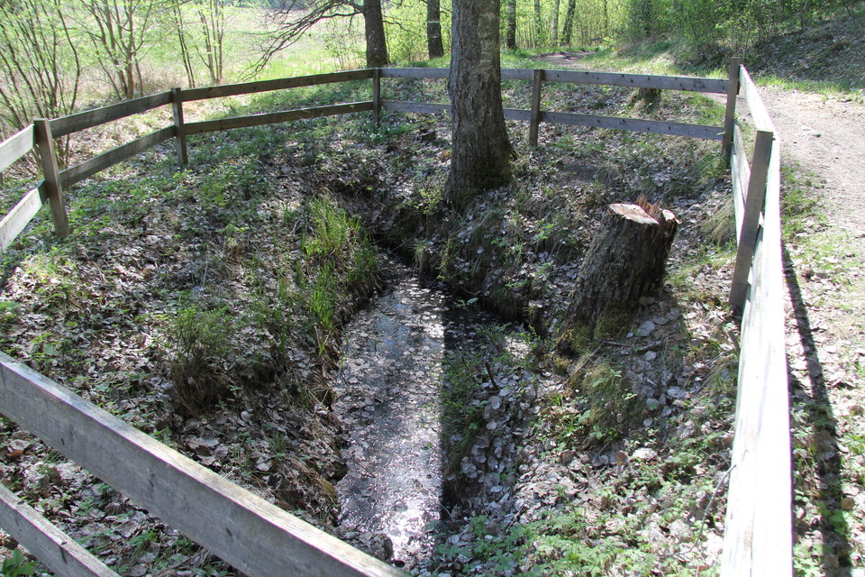 Jungfrukällan med trästaket runtikring.