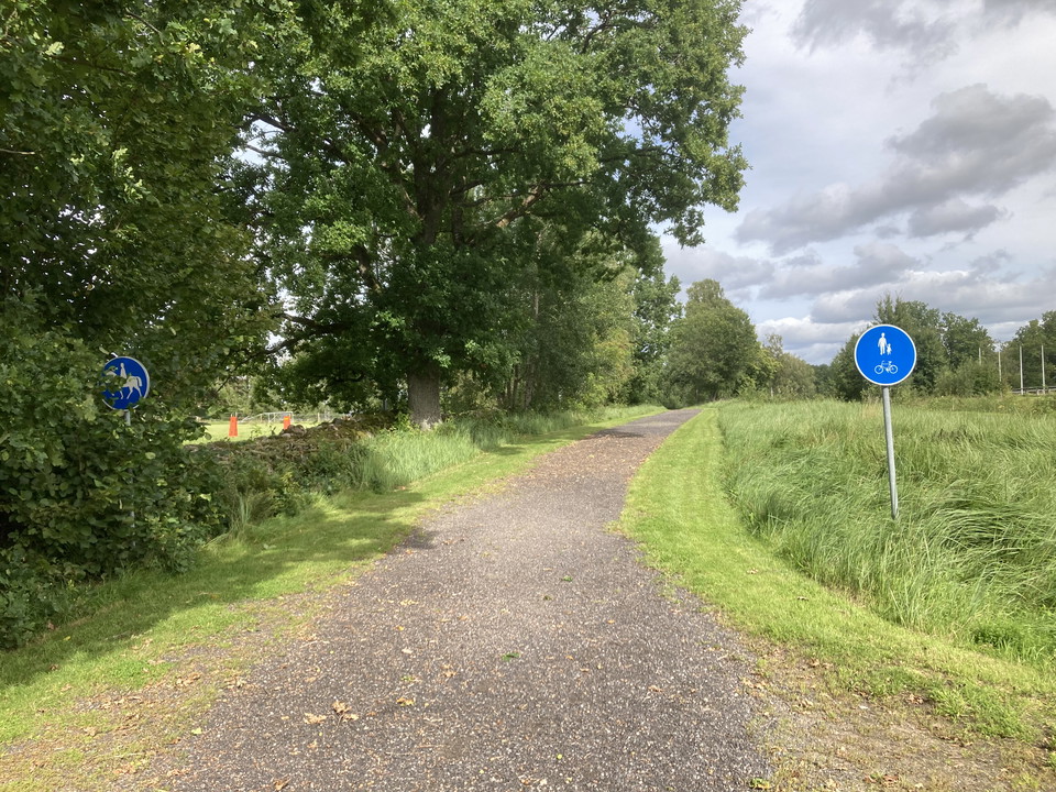 En grusväg med en blå skylt intill några träd.