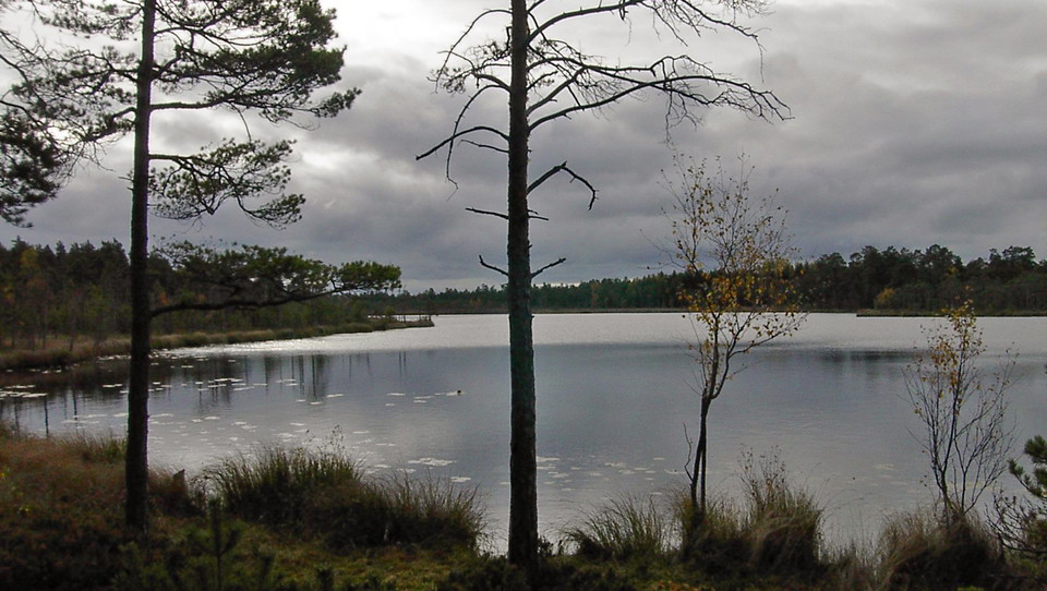 Solglitter på Långviksträsk.