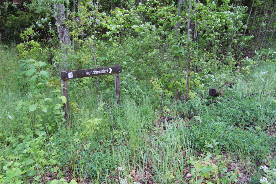 En träskylt med en pil och texten: Vandringsled.