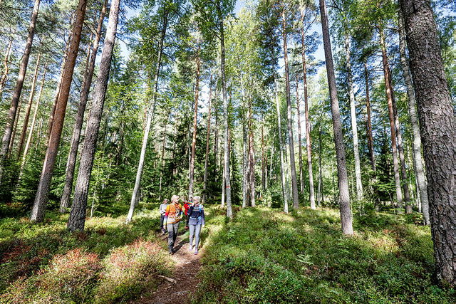 Alternativ ledsträckning vid skarpskjutning på övningsområdet