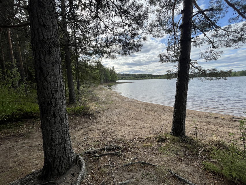 Vy över stranden