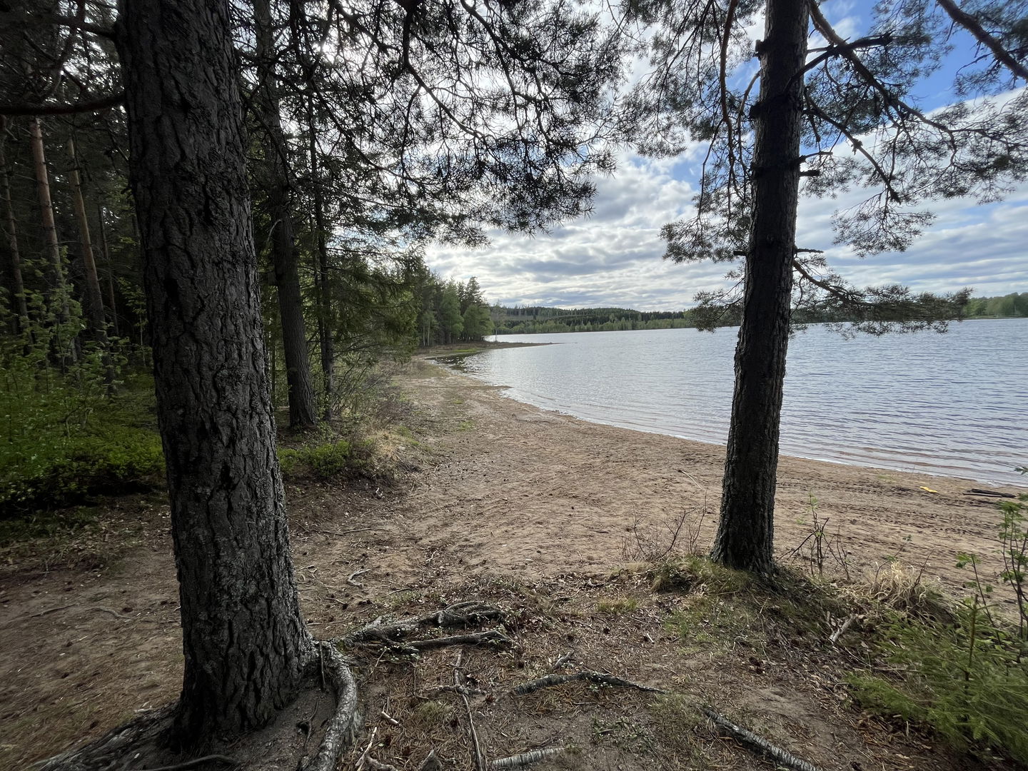 Vy över stranden