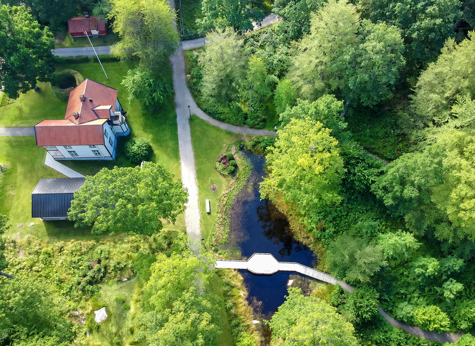 Foto: Piotr Wawrzyniuk