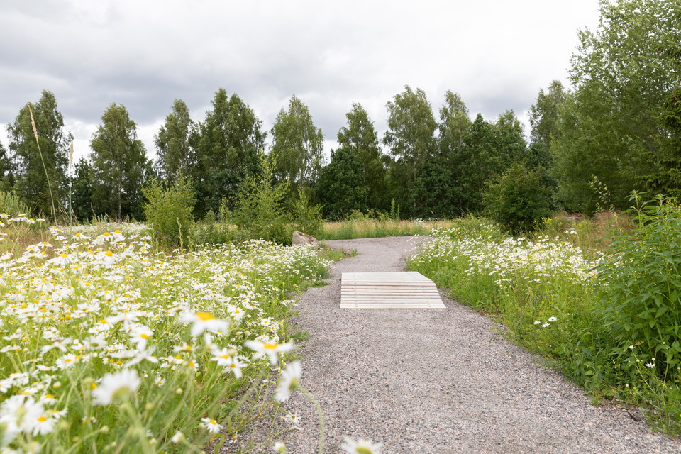 Vy över pumptracken. Ett av banans första, mindre hinder med gupp.