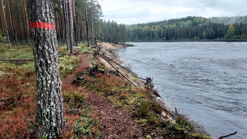 Flottarstigen vid Kölströmmen