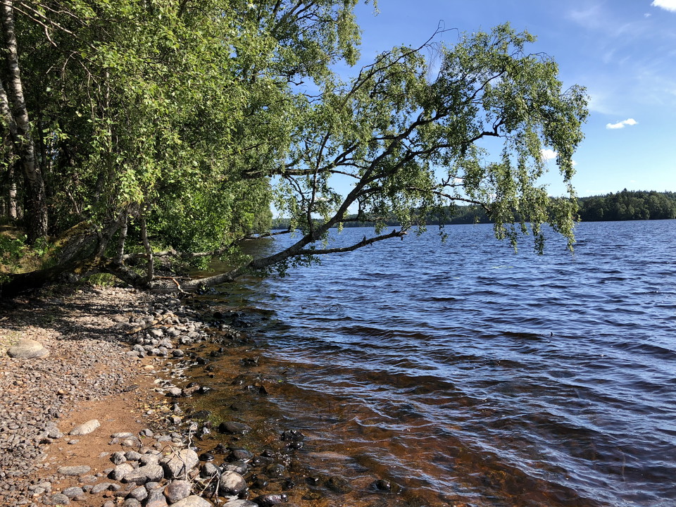 Värnamo Kommun