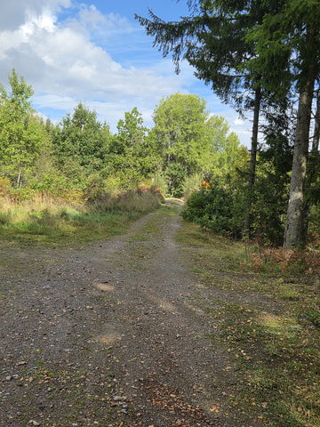Banbrospåret