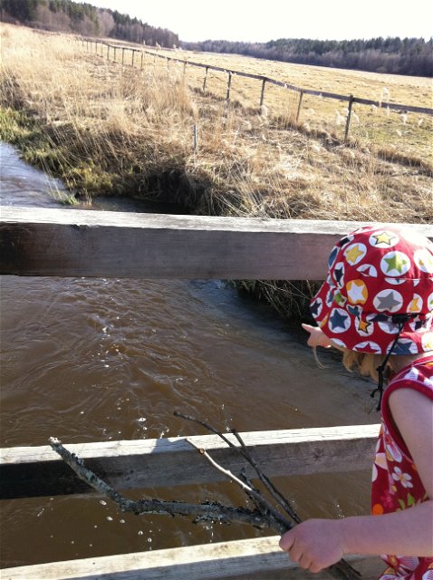 Ett barn står på en bro över en å och tittar ner på vattnet.