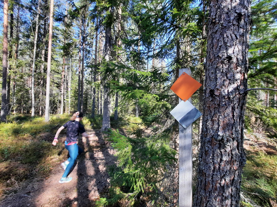 Inledningsvis går den samma väg som Bergsborundan