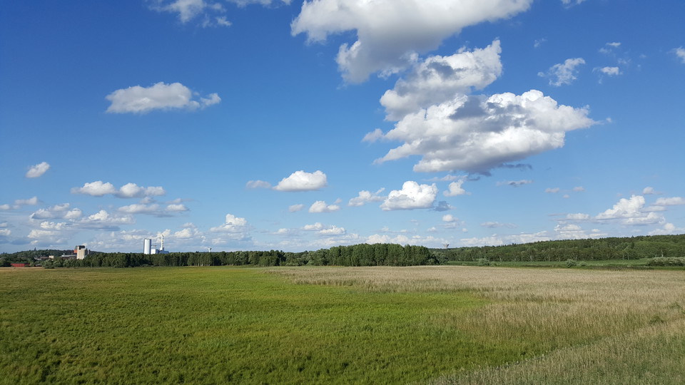 Utsikt från fågeltornet.