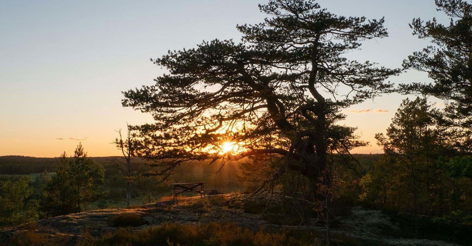 Utsikt från rastplats vid Grissjön i solnedgång Etapp: Tryserums rundslinga och Tryserum-Fallingeberg