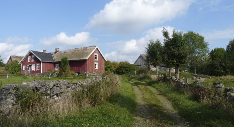 En röd stuga med en stig bredvid