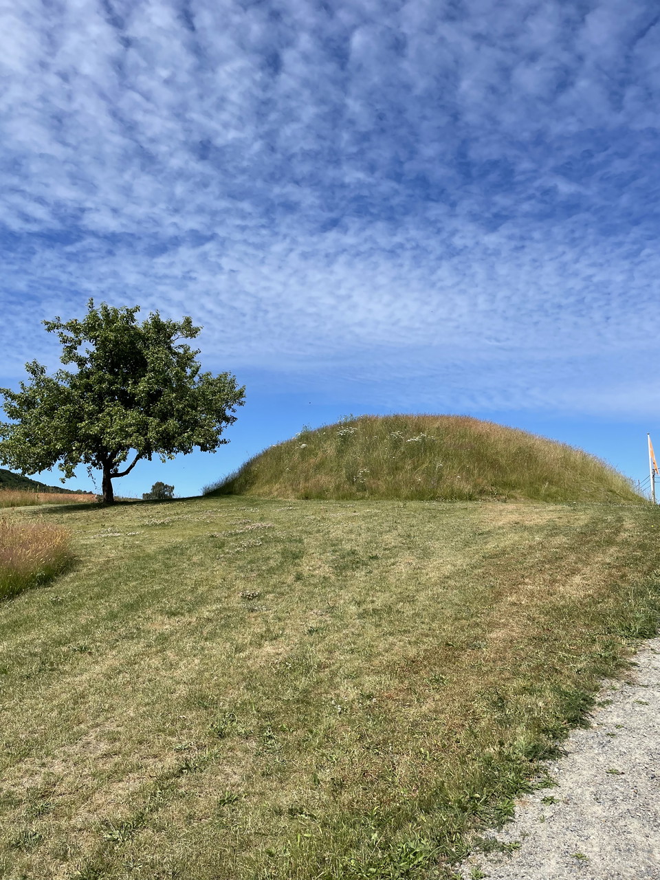 Bronsåldersgraven Lugnarohögen 