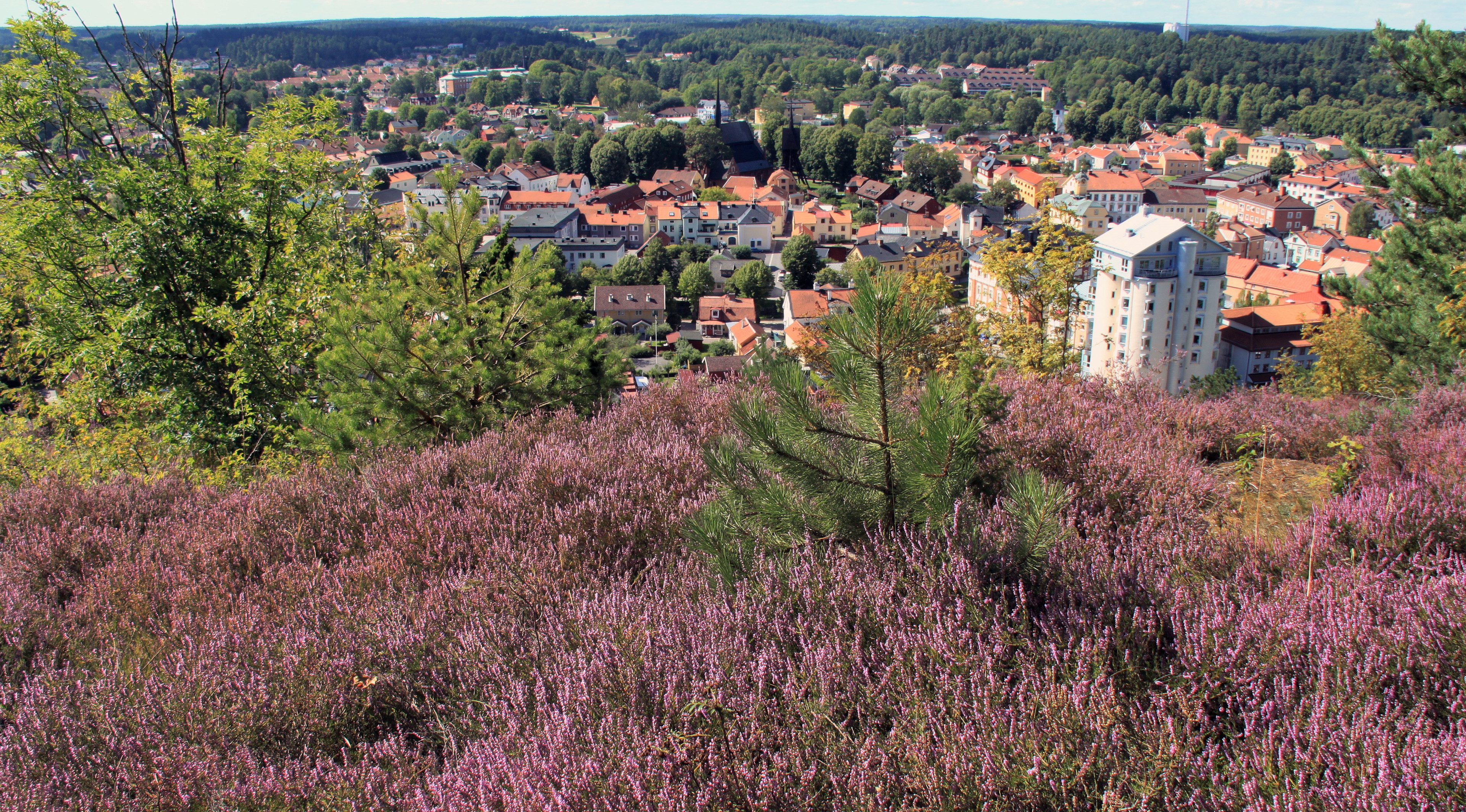 Ramunderberget naturreservat