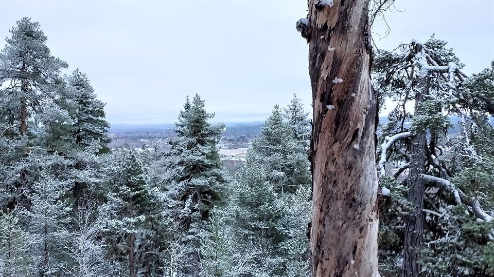 Utsikt mot Ljusdal