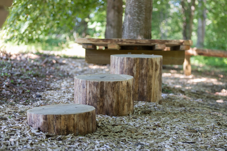 Stubbar att hoppa och klättra på.