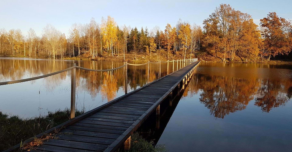 Spång över Ullabergs våtmark
Rundslinga: Ullabergs och Mossens våtmarker
Linköping