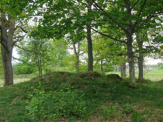 Grave field, Västhorja