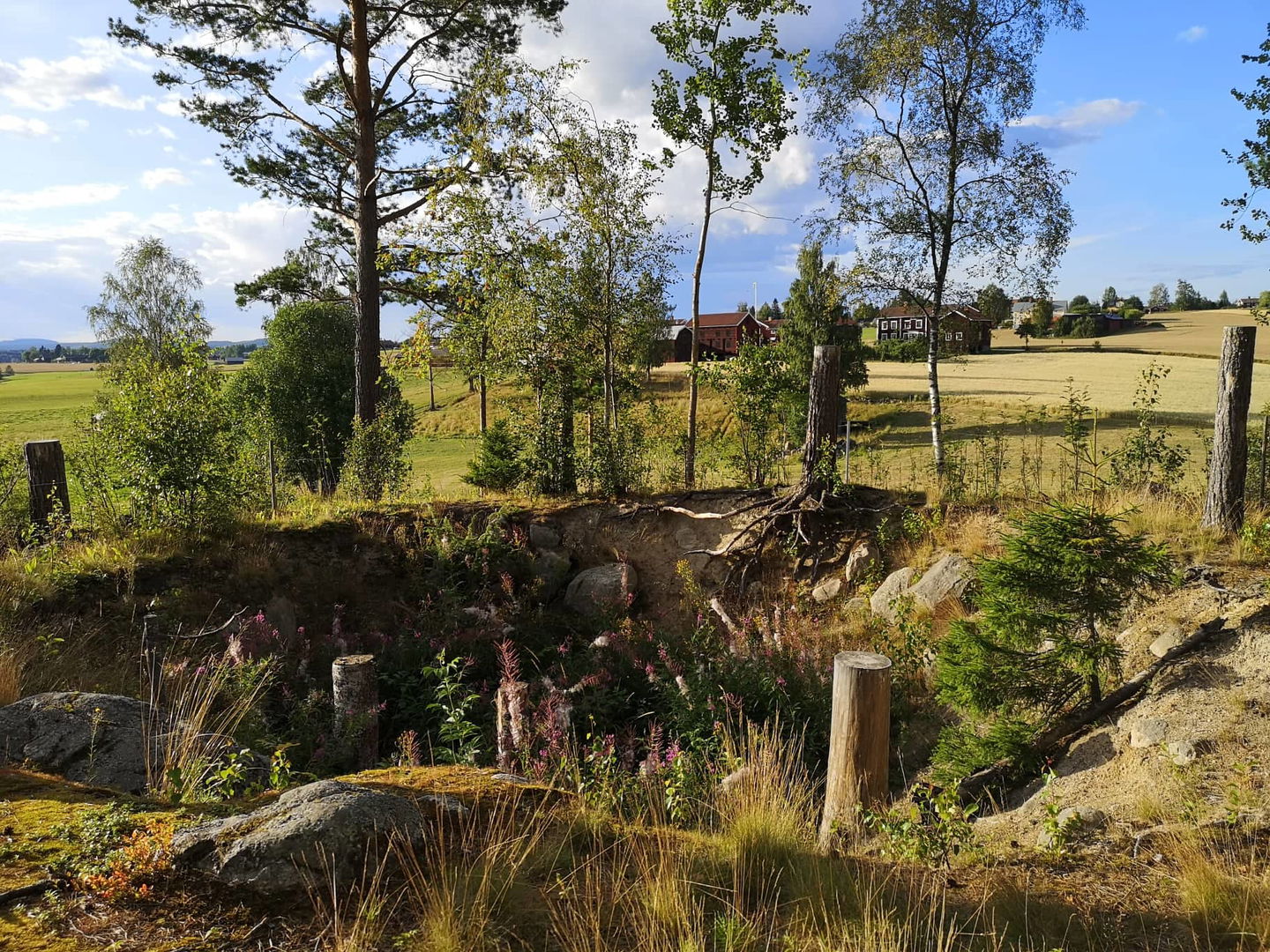 Varggropen, Olers i bakgrunden 