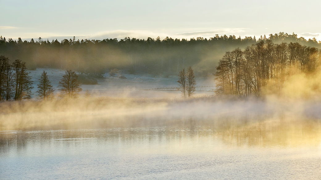 Gråviken. Foto Eddie Granlund