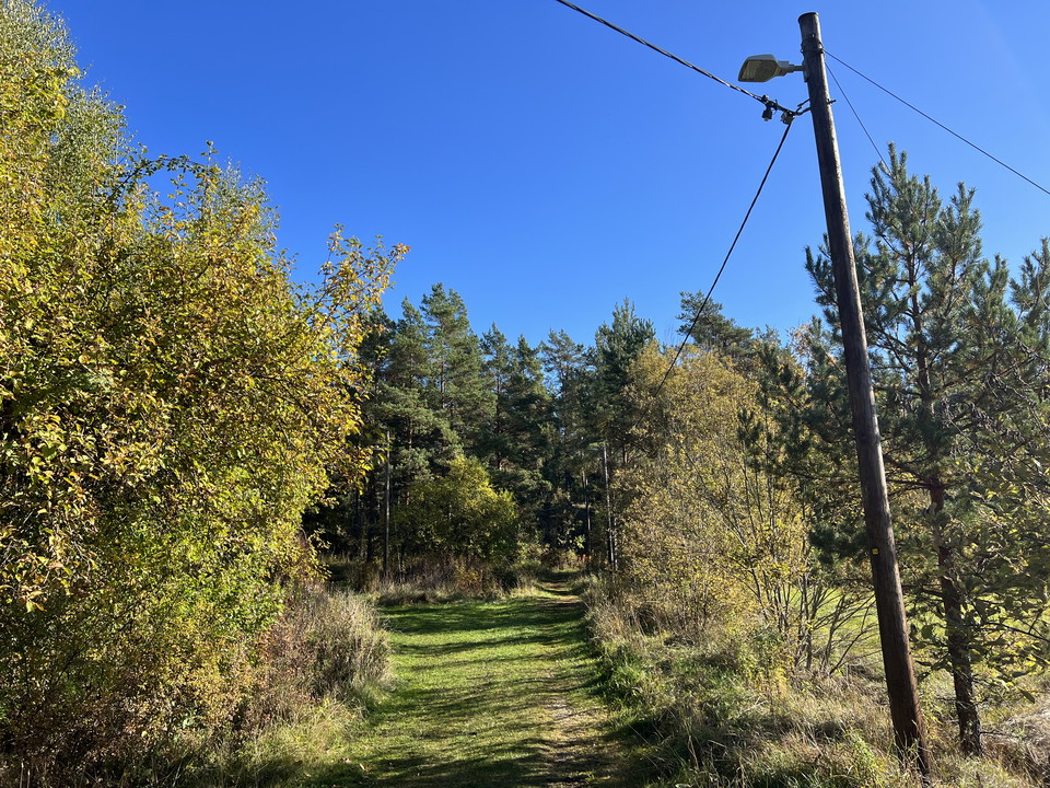 Motionsspår med gräsväxt 