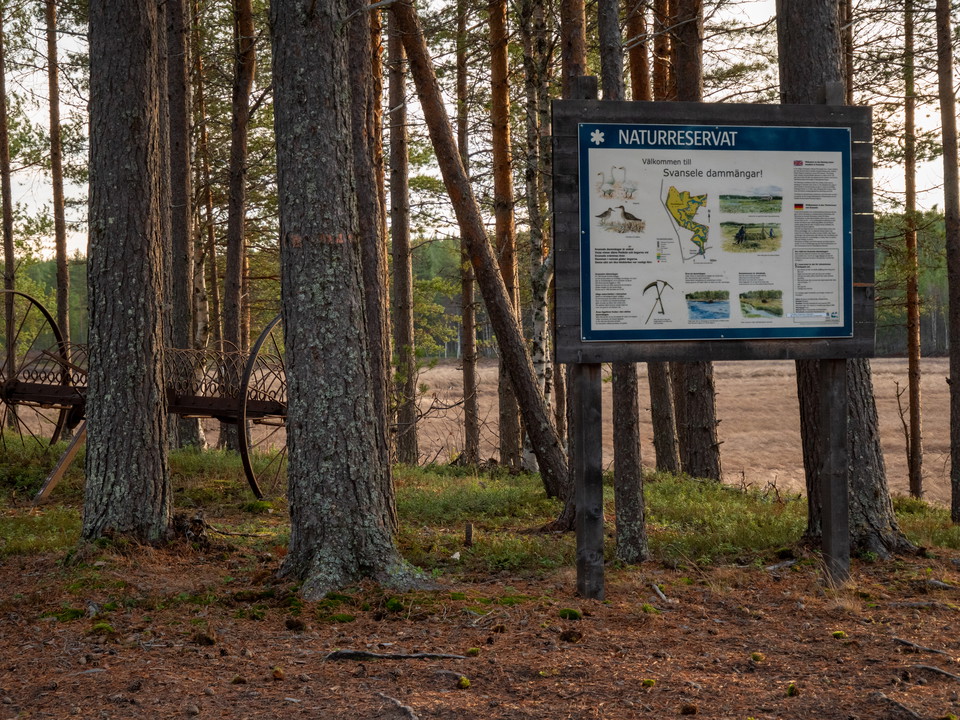 Kortudden.