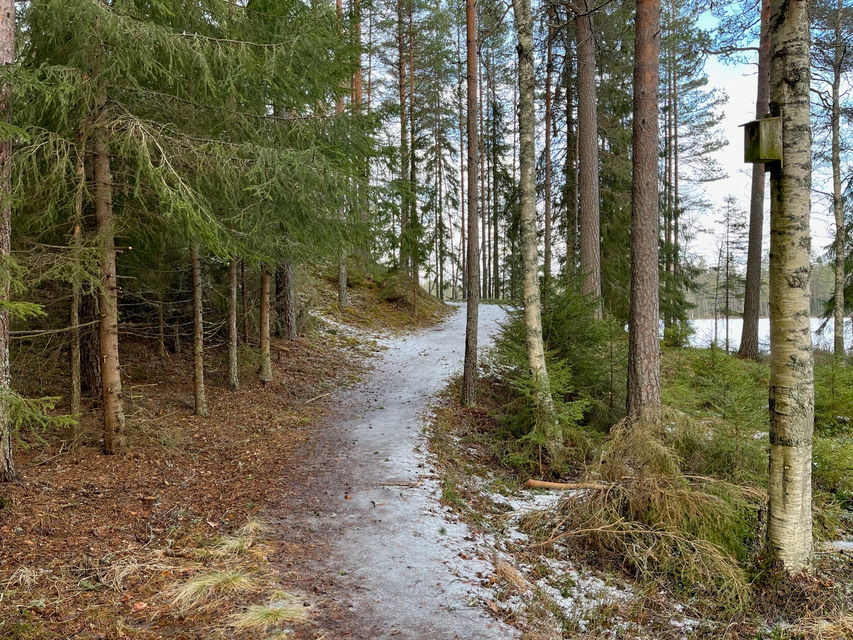 Längs med leden