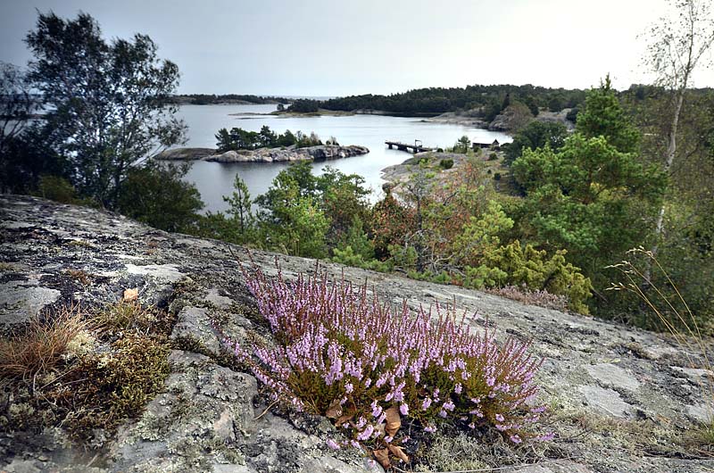 Foto Olof Näslund