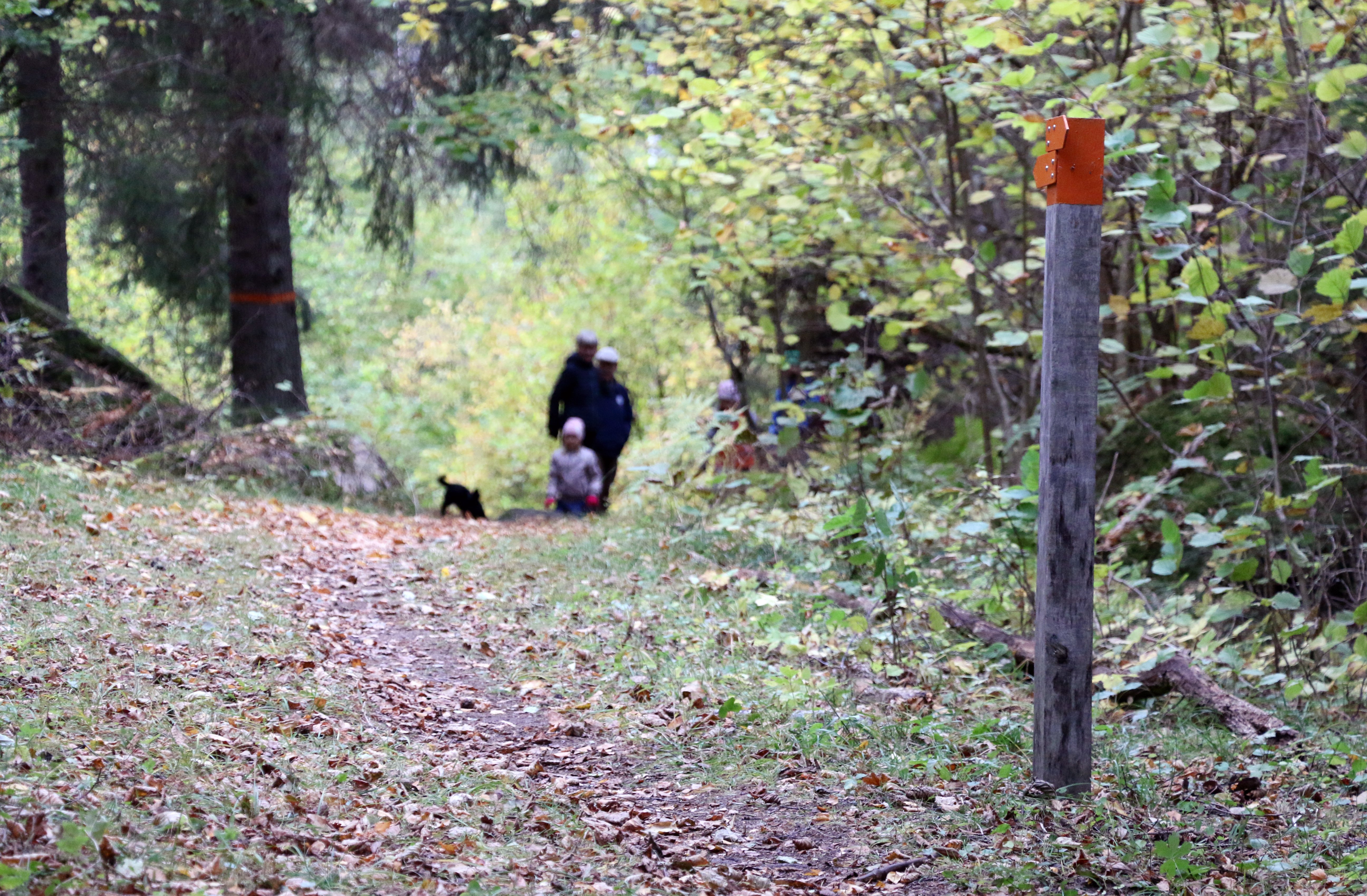 En stolpe med orange pilar som visar vägen. På stigen syns några personer gå med en hund.