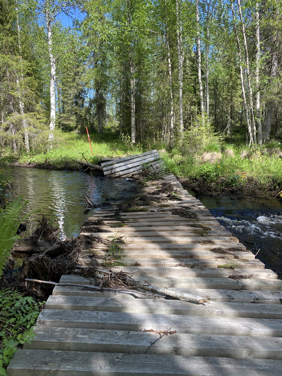 Trasig bro längs med stigen