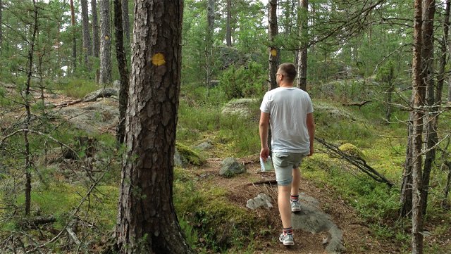 The southern trail, Långviksträsk