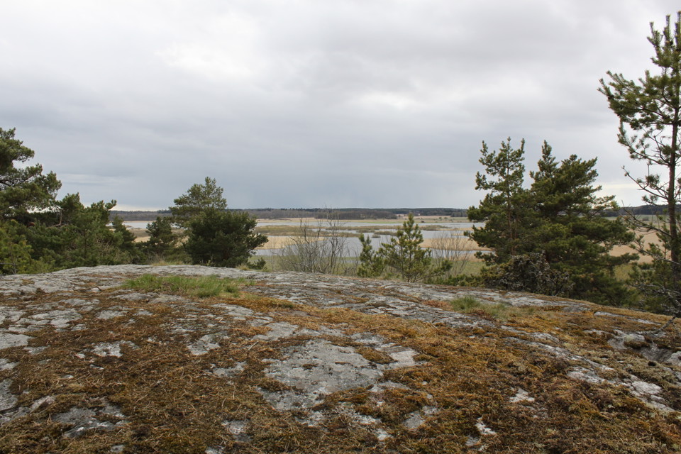 Från en utsiktsplats uppe på ett berg har man utsikt över öppet landskap med vass och vatten. 