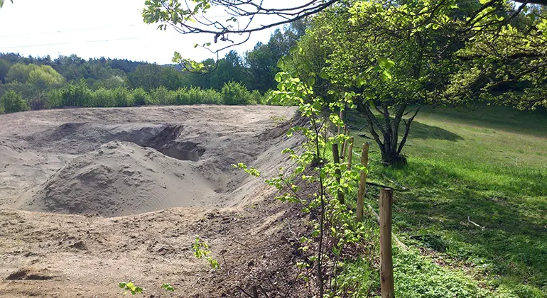 Gräns mellan öppna sandmarker och betad hage.