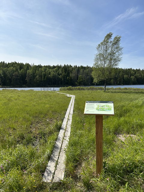 Bild: Sveaskog
