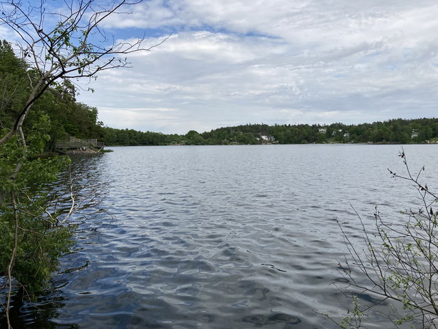 Magelungen