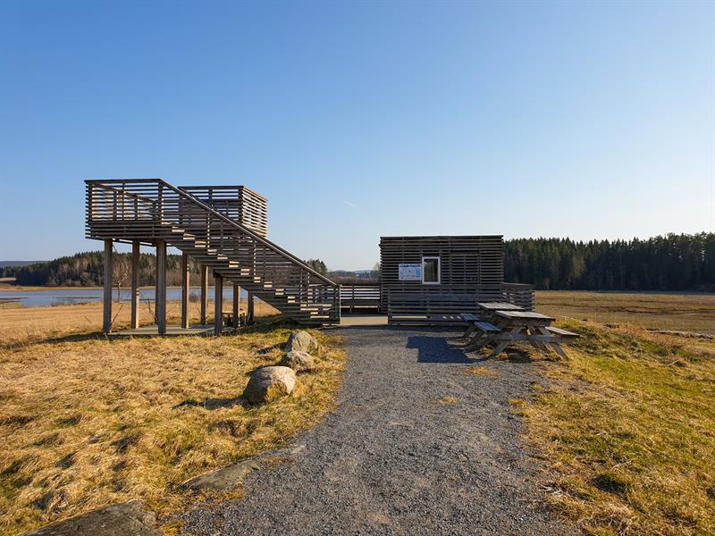 Dilleviktårnet