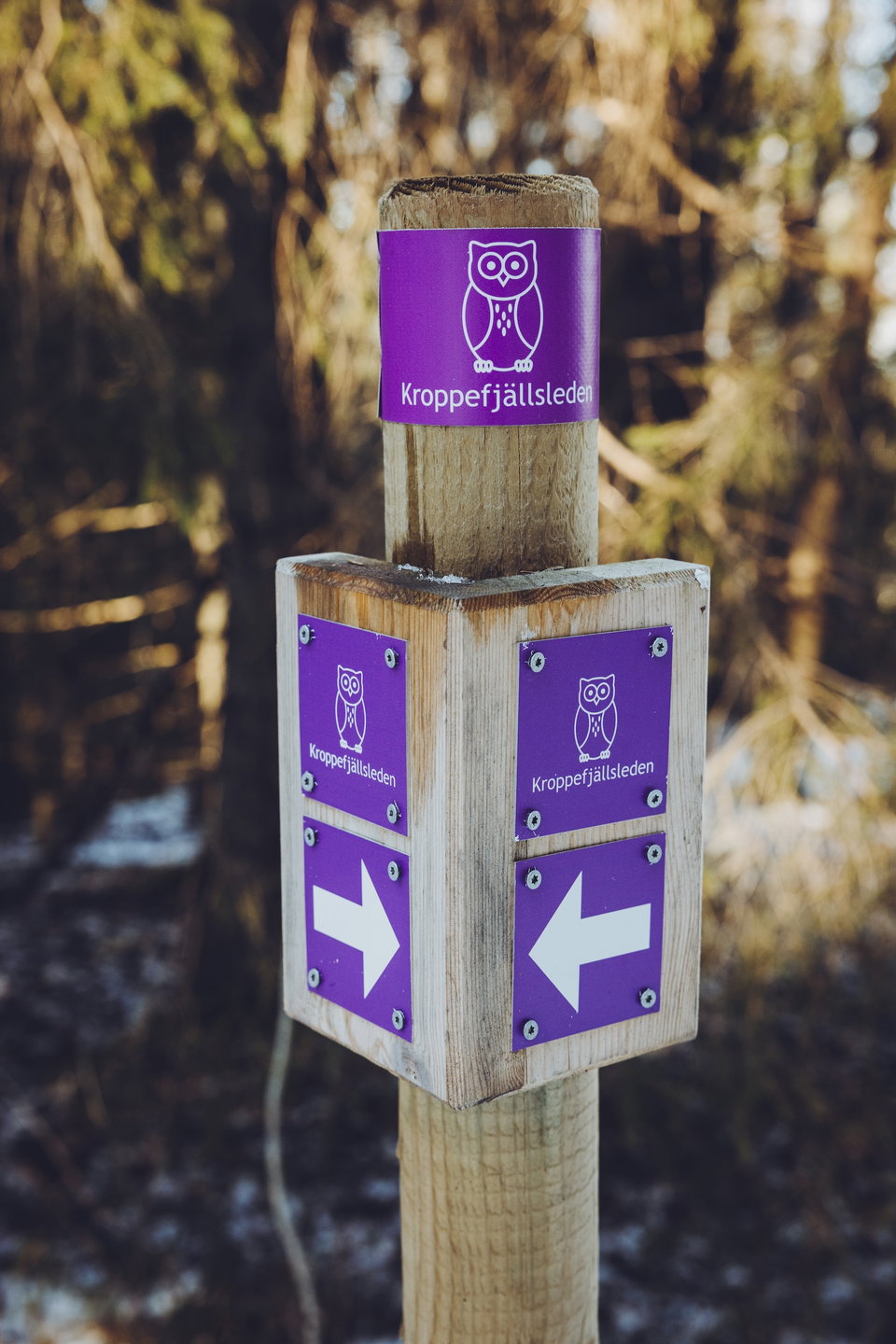 Kroppefjällsleden - en av West Sweden trails pärlor - går genom högplatåer och skogbevuxna sprickdal…