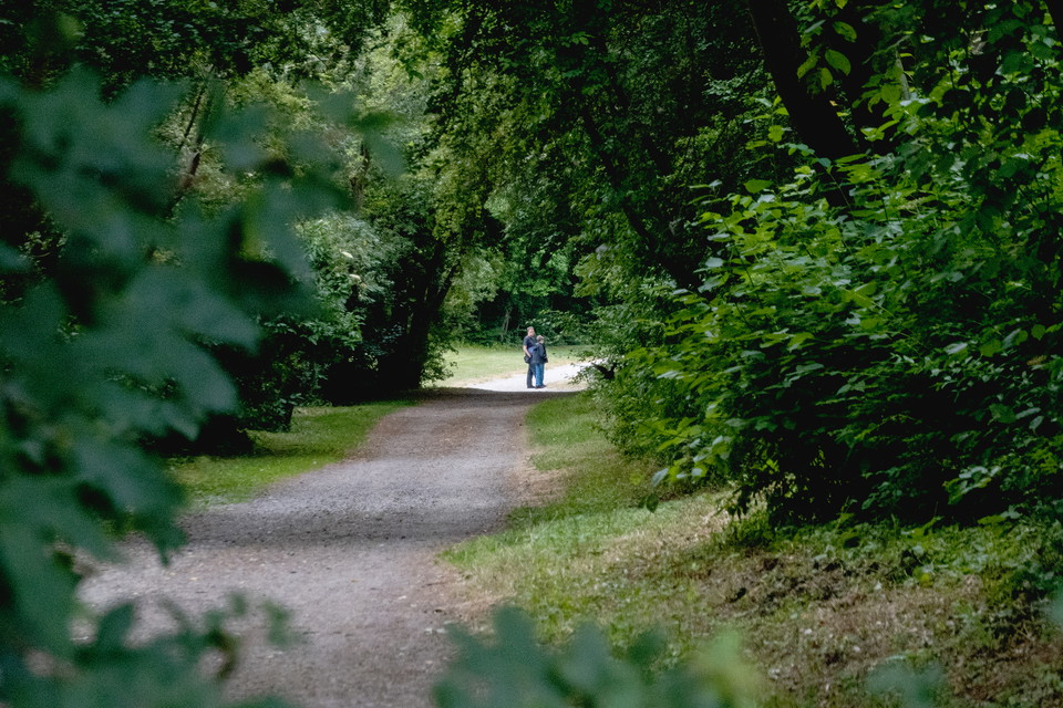 stig omsluten av lummig vegetation i Sankt Hans backar